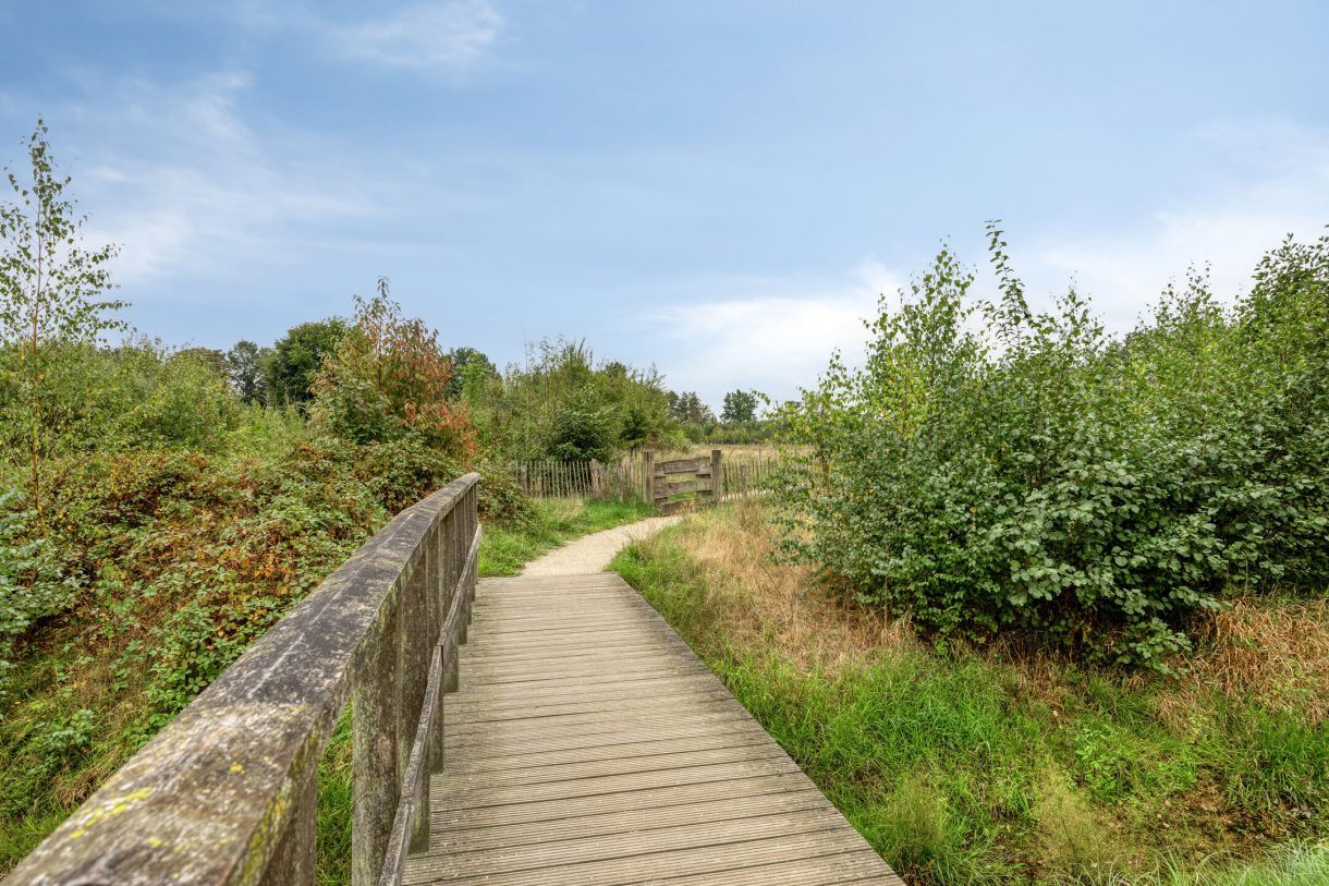 Te koop: Foto Woonhuis aan de Boekelsedijk 27 in Volkel