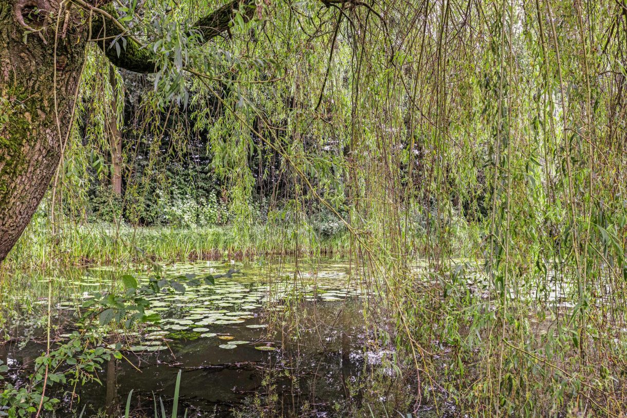 Te koop: Foto Woonhuis aan de Melkpad 25 in Zeeland
