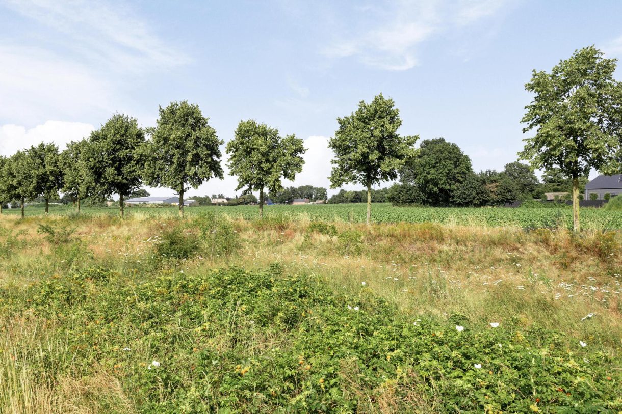 Te koop: Foto Woonhuis aan de Dotterbloem 13 in Boekel