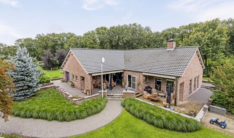 koop  Venhorst  Dennenmark 9 – Hoofdfoto