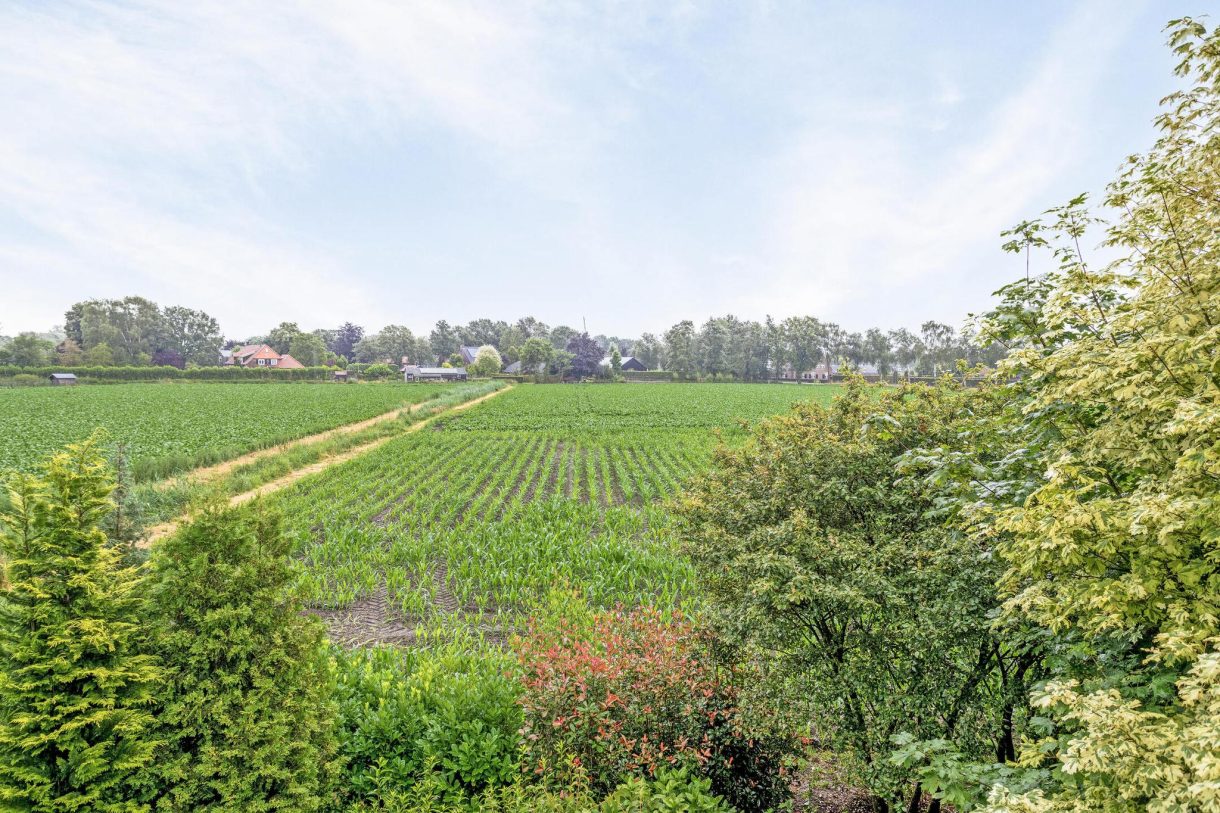 Te koop: Foto Woonhuis aan de Biesthoekstraat 6 in Volkel