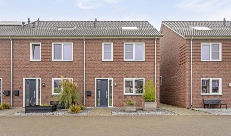 koop  Odiliapeel  Turfsteker 6 – Hoofdfoto