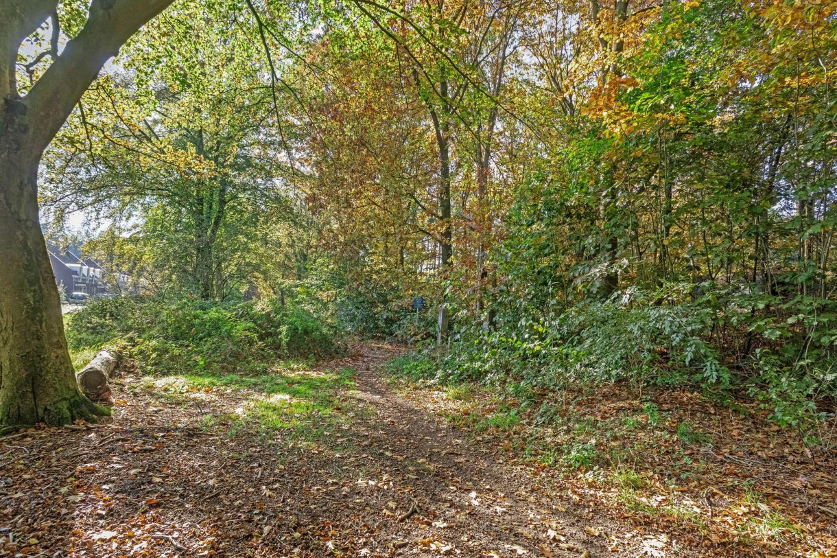 Te koop: Foto Woonhuis aan de Heidehof 2 in Odiliapeel