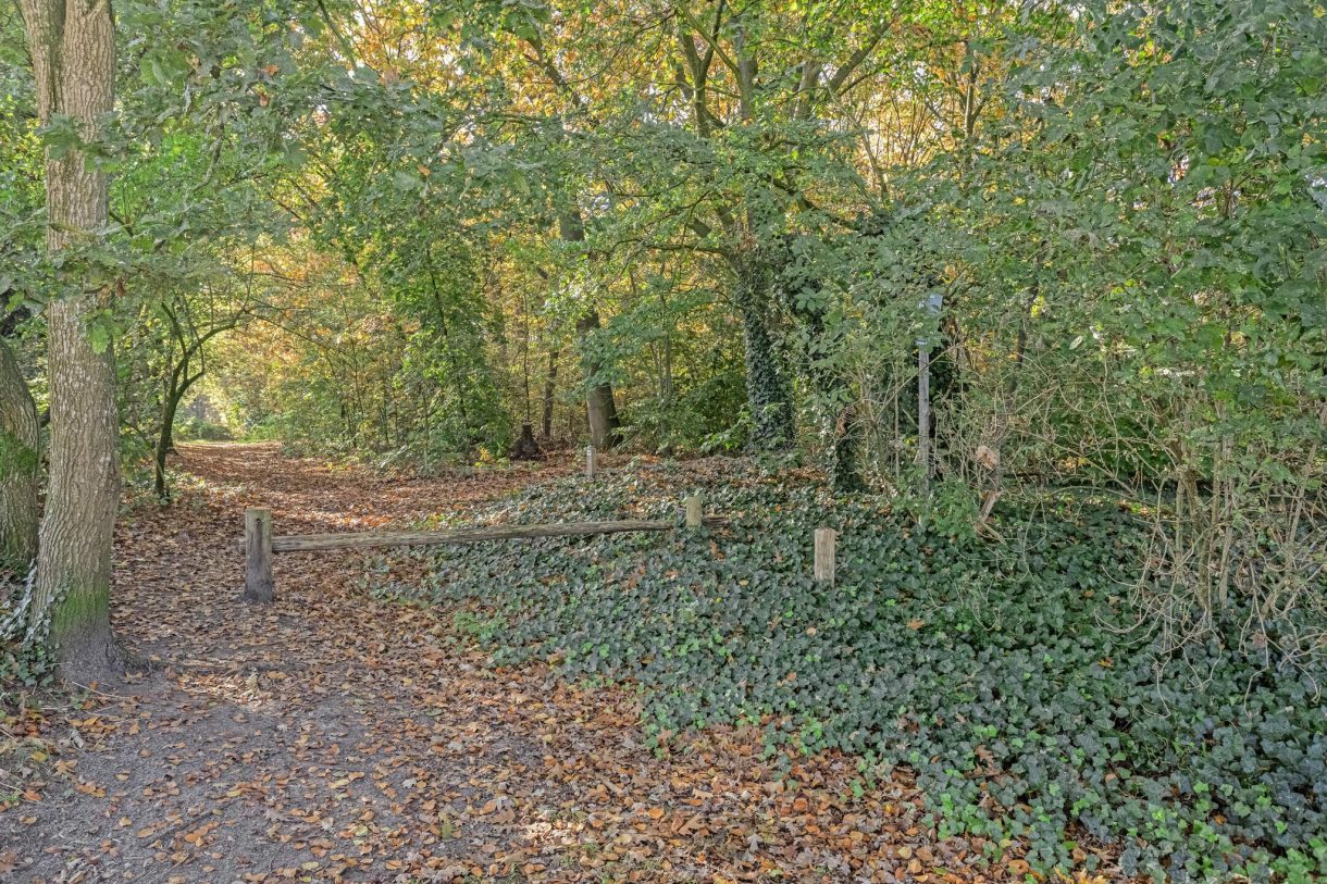 Te koop: Foto Woonhuis aan de Heidehof 2 in Odiliapeel