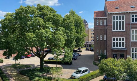 Te huur: Foto Appartement aan de de Cour 19 in Uden