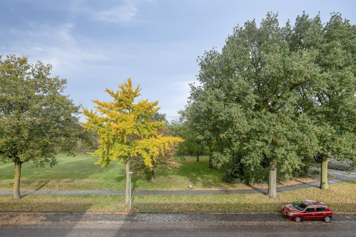 Te koop: Foto Woonhuis aan de Cellostraat 69 in Uden